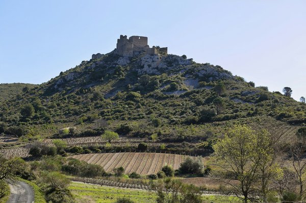 Which UK cruises offer the most comprehensive historical tours of coastal towns?