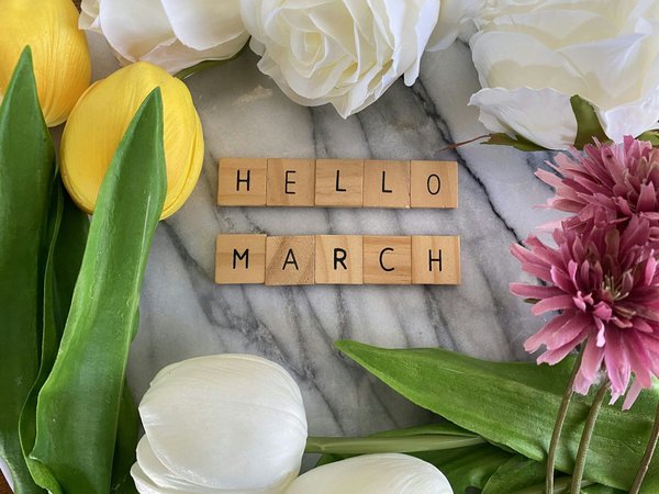 Which historic towns in England offer the best Christmas markets?